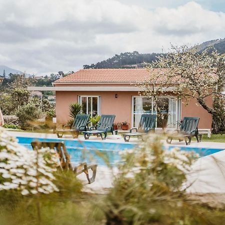 Forno House - Ameixoeira Vila Praia de Âncora Eksteriør bilde