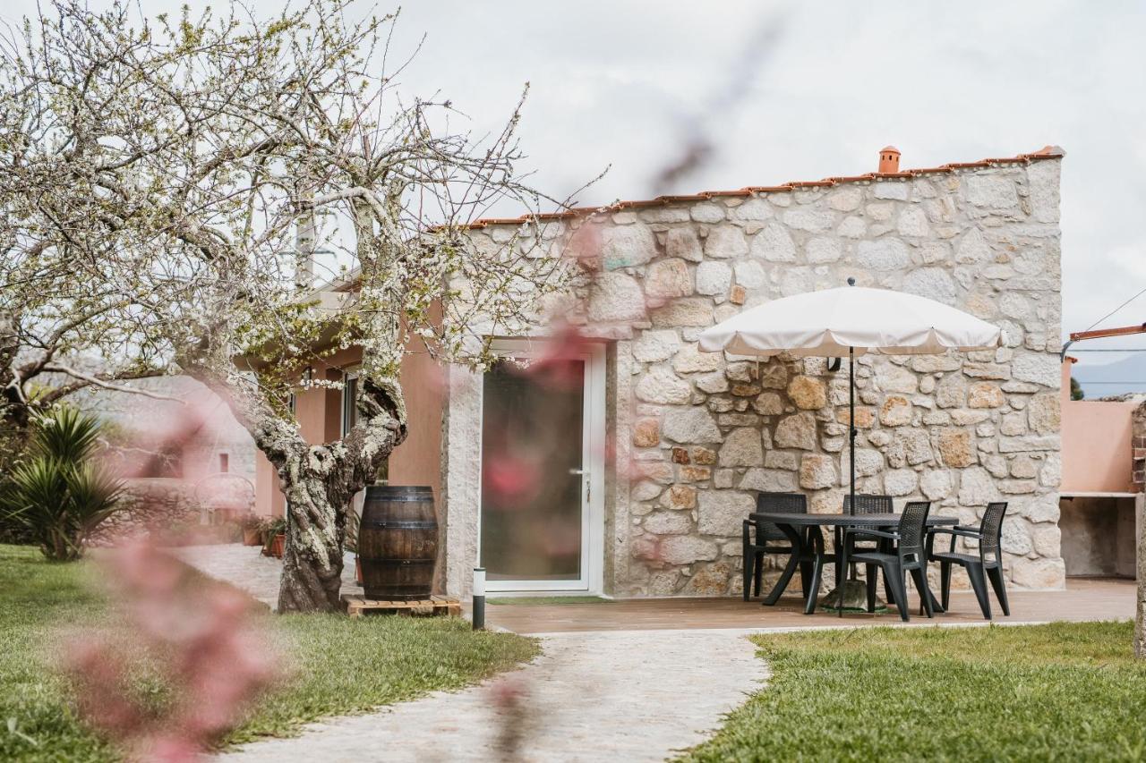 Forno House - Ameixoeira Vila Praia de Âncora Eksteriør bilde